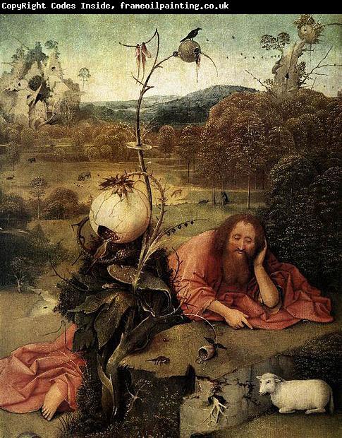 Hieronymus Bosch Saint John the Baptist